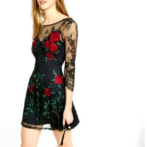 Express Embroidered Floral Lace Fit and Flare Dress Size S